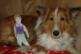 Dakota, Sheltie