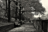 Le Banc des amoureux