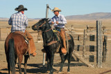 Cowboys near Seligman, AZ