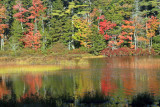 Colorful Fall Refledtions