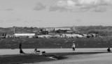 Dog training by the SF bay - Carlos Camacho