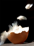 1st - Leaving the nest - Marimontse