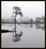 1st Place - c126 Solitude -cool morning fog - Catman