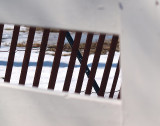 Snow fence -ArtP