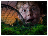 Discovering Lilliput, Alistair