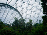 Eden Project biodome, Alistair