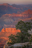 GrandCanyon_20090511_368