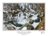 White Oak Canyon in Winter.jpg