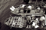 Sai Kung Floating Fish Market