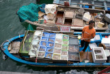Sai Kung Floating Fish Market