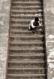 A worker repairing  Samrat Yantra Prince of Dials, Jantar Mantar Delhi.