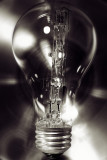 Bulb