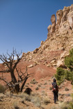 desert admiration
