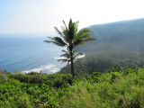 038northhawaii.jpg