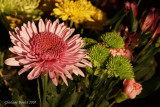 Bouquet de fleur