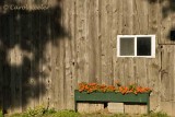 Barn Decorations