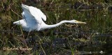 The Big Stretch