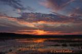 Sunset at the Marsh