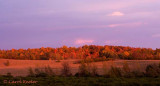 Evening's Last Light