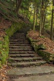 Mossy Stairway