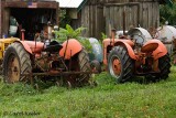 Dan's Tractors