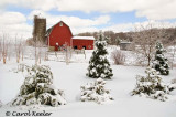 My Favorite Winter Farm