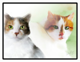 2-cats_framed-1_edited-1.jpg