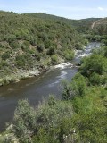 Rio Sver