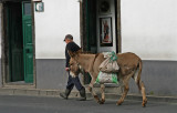 A village walk