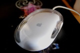 My White Mouse...