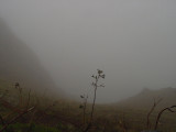 Cape Foulweather near Depoe Bay