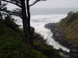 Devils Churn, Siuslaw National Forest