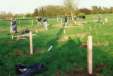 Planting the New Woods area of the garden, May 1992
