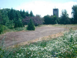 Butterfly Meadow, 1993