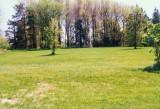 North side Ash Woods, spring 1991