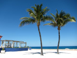 Trees on Coco Beach, Bahamas.JPG