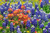 Hill Country Day 1 029 copy.jpg