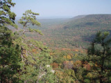 PB040960.jpg