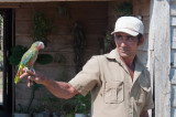119-DSC_1690-Local and Parrot.jpg