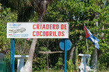 64-DSC_1591-Croc farm.jpg