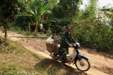 Durian farmer in habitat