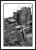 Three Rivers Petroglyph Site