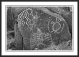 Three Rivers Petroglyph Site