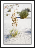 White Sands National Monument