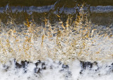Walk around New Lanark & Falls of Clyde - Mar 2010.