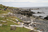 araltursfjrur