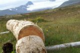 PICT0320.JPG
