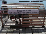 2_4_Glenn trapped at the Fisheries Museum of the Atlantic in Lunenburg.JPG