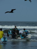 5_3_Unloading the fish.JPG