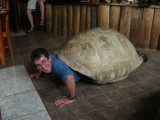 DSCN6184_male tortoise.JPG